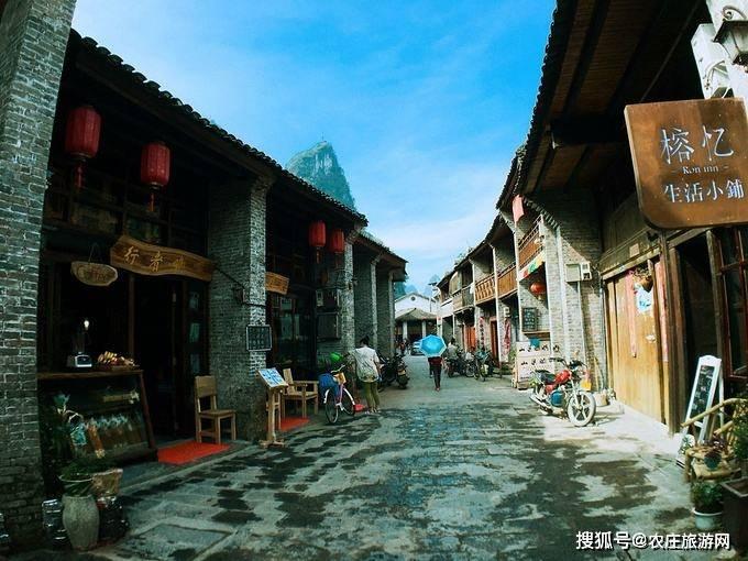 发现panda怎么读音发音社区 - 红迪网平台